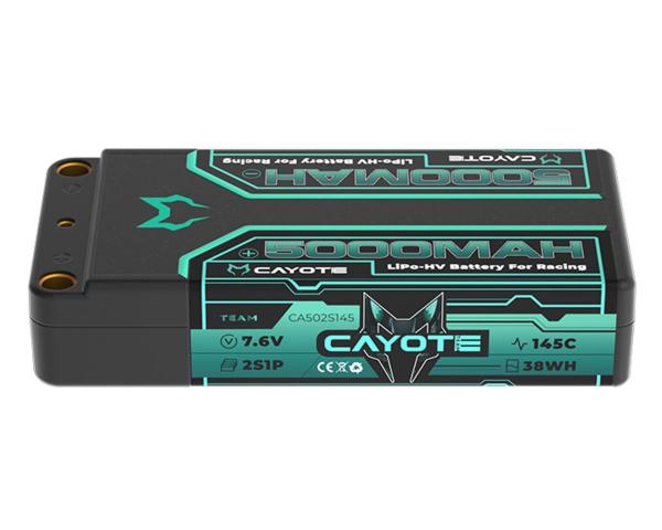 CYE502S145