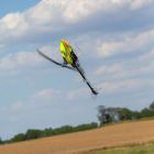 Blade BLH590001 330 S RTF BASIC