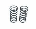 Custom Works 1830 BLACK BIG BORE SPRINGS 10 LB (pair)