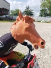 MX Mods HORSE HEAD MASK accessory rider head upgrade for Losi Promoto MX