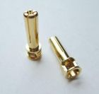 TQ Wire TQW2508 5mm Male Bullets Window Top 21mm (Gold)