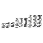 Yeah Racing DDL-002 Desert Lizard DDL 100mm Spring Set