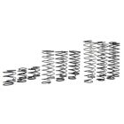 Yeah Racing DDL-003 Desert Lizard DDL 110mm Spring Set
