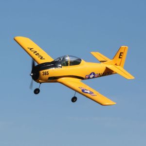 EFL08250