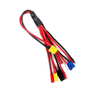 RCE1689