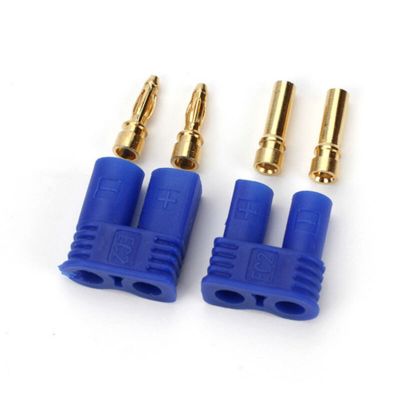 EFLAEC203