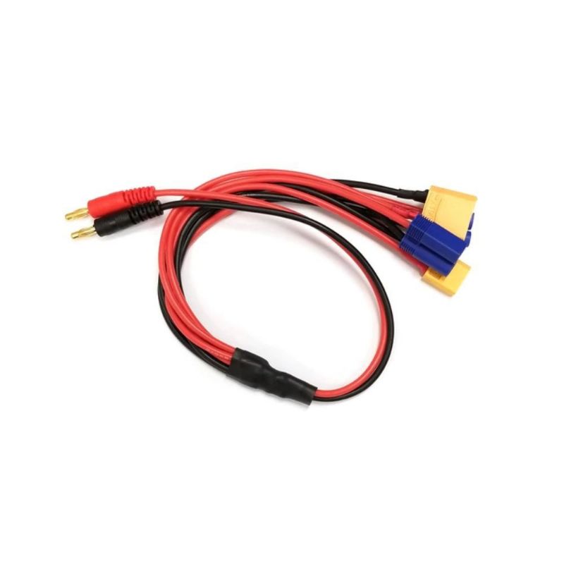 RCE1661